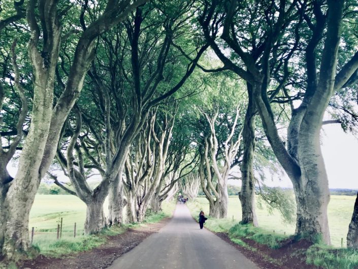 The Dark Hedges, Northern Ireland